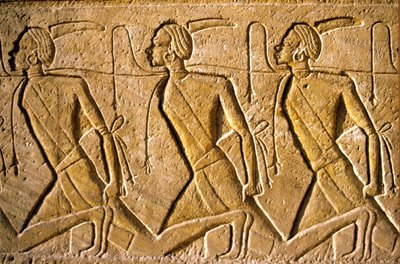 Det gamle Egypten, Vægmaleri/ristning, Række af fanger, der repræsenterer det kushitiske folk, afbildet som afrikanere, der er blevet besejret af Ramses II, Ramses II