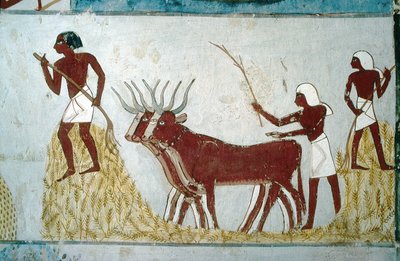 Luxor, Theben: Adelsgrave: Nakht