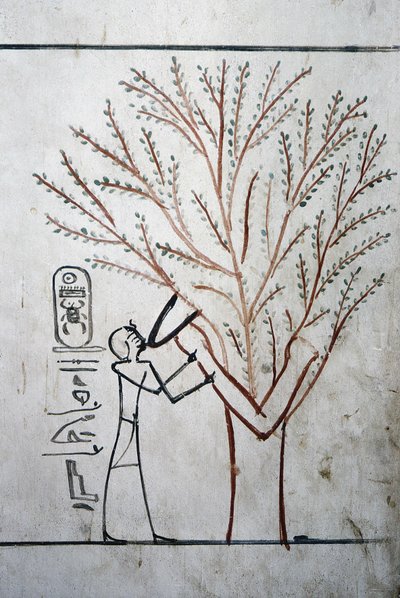 Luxor, Theben: Kongernes dal. Grav for Thutmosis (Tuthmosis eller Thutmes) III (-1504 - -1450), Farao af Egypten. af School Egyptian