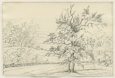 Cannock Chase: pen- og blyantstegning, nd [?1800-tallet] (tegning) af School English
