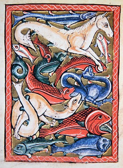 Fisk og havdyr, faksimile af en manuskriptminiature fra det 12. århundrede (farve litho) af School English