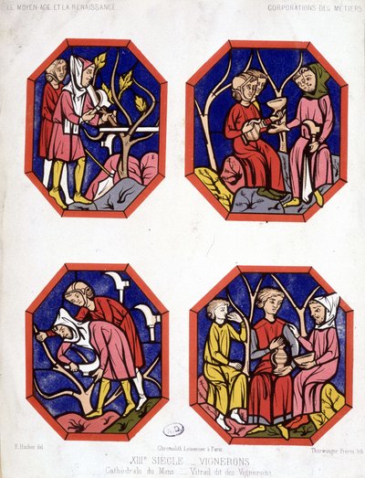 Corporation des vignerons - farvet glas fra vinproducenterne fra Cathedrale du Mans af School French