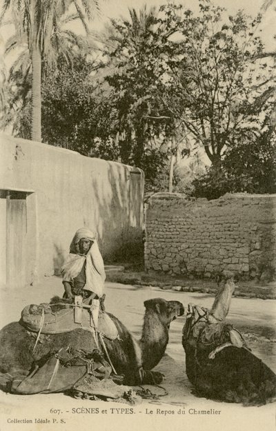 The Camel Driver