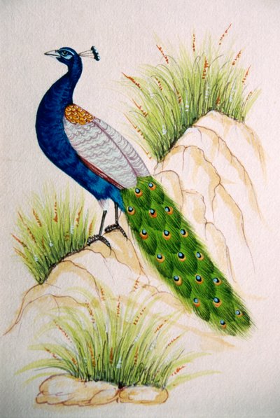 Miniaturemaleri på silke Påfugl af School Indian