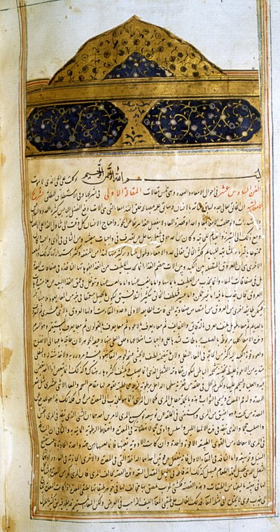 Side fra The Canon of Medicine (al-Qānūn fī aṭ-Ṭibb) af Avicenna af School Iranian