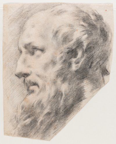 Profilhoved (kul på papir) af School Italian