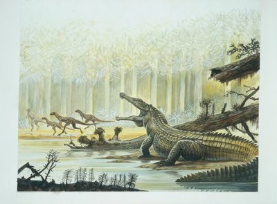 Rutiodon med Fabrosaurus i baggrunden, trias periode (farve litho) af School Italian