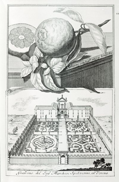 Villa af Marquis Spolverini af Verona, fra "Villaer, haver og landskaber i Venedig" af A. Volkamer (gravering) af School Italian