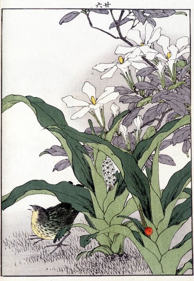 Fugl i blomsterne - japansk print af Japanese School