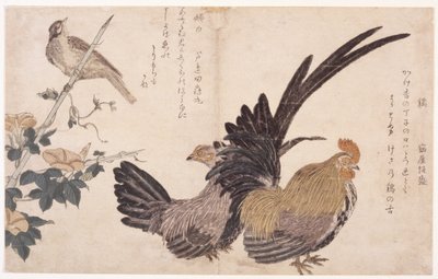 Hane, Høne og Fugl af School Japanese