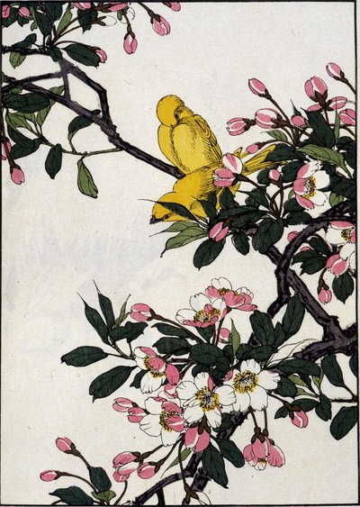 Seriner på en blomstrende kirsebærgren - japansk tryk af Japanese School