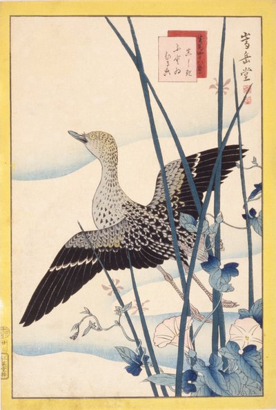 Vildand af School Japanese