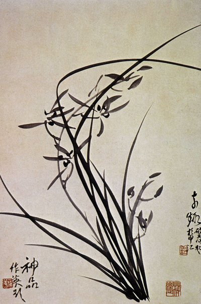 Orkidéer. Corean-tryk af YI-dynastiet. af School Korean