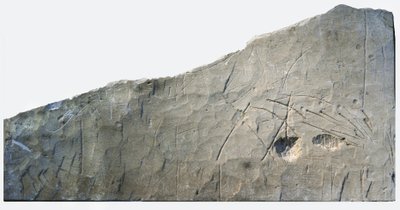 Hebraisk begravelsesindskrift fra Beth Loya, judæiske foden, Israel, 6. århundrede f.Kr. (sten) af School Levantine