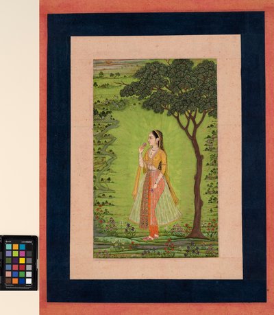 En kvinde, der står ved et træ, holder en blomst, ca. 1720 (ugennemsigtig m/c og guld på papir) af School Mughal