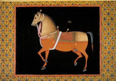 Moghol kunst: repræsentation af en hingst. 1700-tals gouache. Paris, B.N. af School Mughal