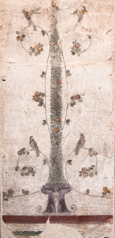  af School Roman