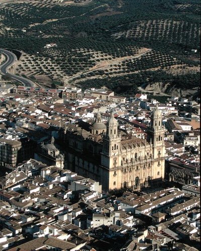 Luftfoto af Jaen-katedralen (foto) af School Spanish