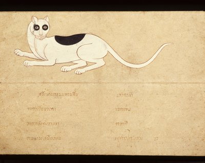 Blad fra et manuskript om siamesiske katte, begyndelsen af det 20. århundrede (akvarel på papir) af School Thai