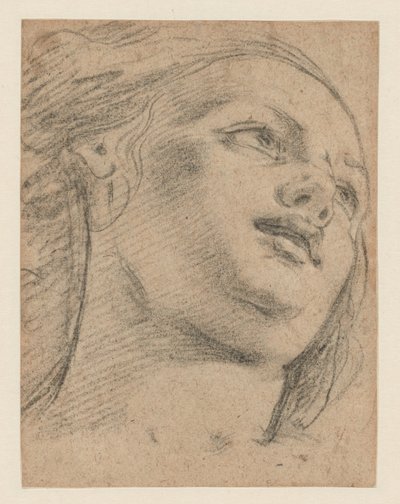 Kvindelig hovedundersøgelse ser op til højre (recto); Studie af to figurer, der understøtter et objekt (verso) af School of Guido Reni