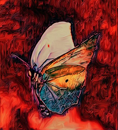 Sommerfugl, 2021 af Scott J. Davis