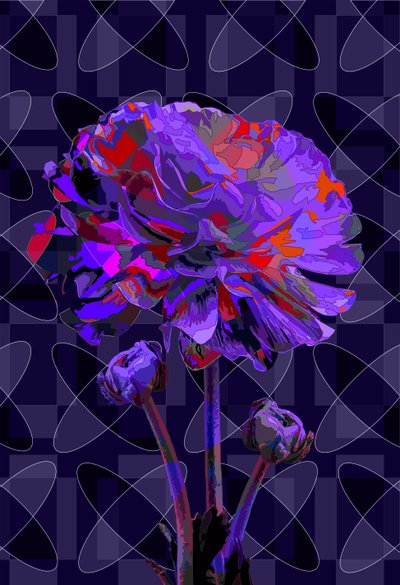 Nellik2, 2019 af Scott J. Davis