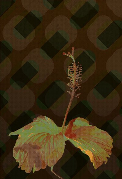 Hibiscus,2 2019 af Scott J. Davis