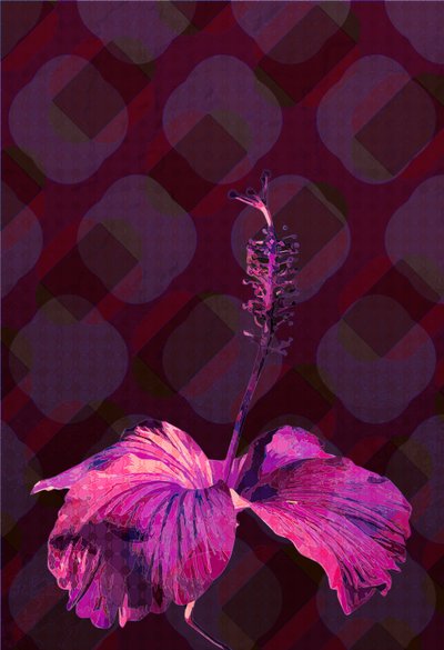 Hibiscus3, 2019 af Scott J. Davis