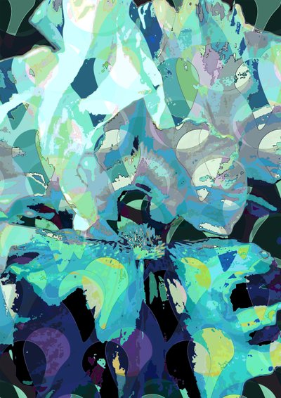 Iris (digital) af Scott J. Davis