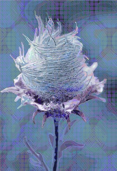 Wood Avens4, 2019 af Scott J. Davis