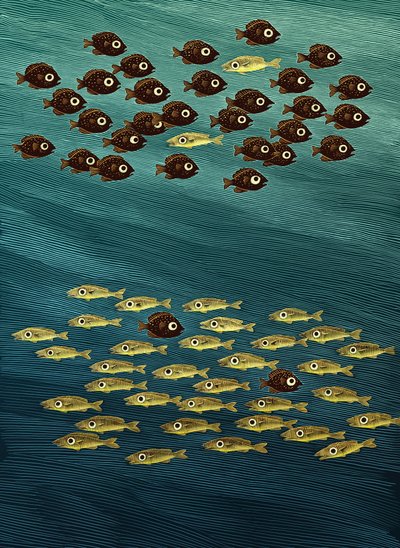 Fish, 2010 (scratchboard, farvelagt digitalt) af Scott McKowen
