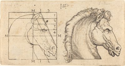 To Hestehoveder af Sebald Beham