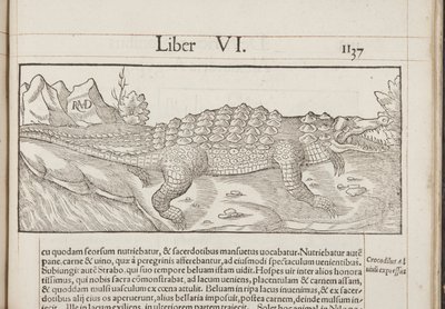 Cosmographia, Fol 1137, 1544 af Sebastian Munster