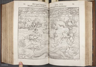 Cosmographia, Fol 852-853, 1544 af Sebastian Munster