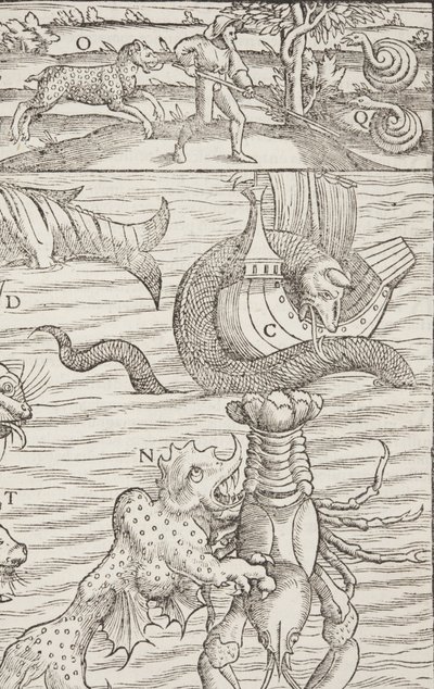 Cosmographia, Fol 853, 1544 af Sebastian Munster