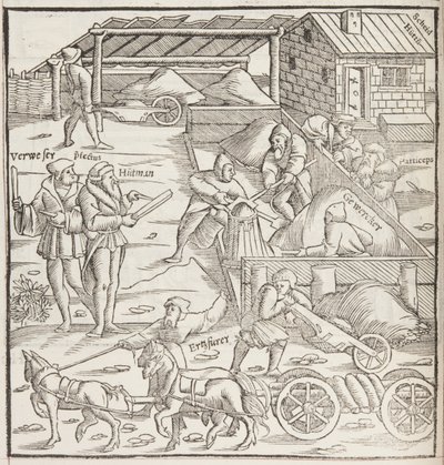Cosmographia, detalje af Fol 436 (gravering) af Sebastian Munster