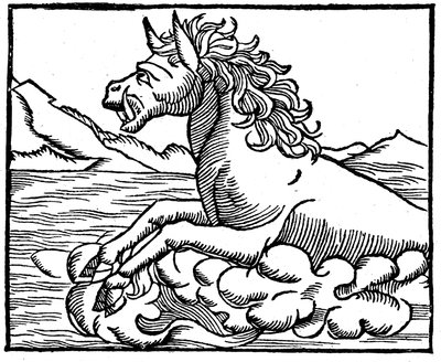 Søuhyr af Sebastian Munster