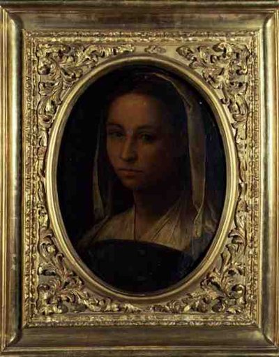 Portræt af en pige (olie på lærred) af Sebastiano del (c.1485 1547) Piombo