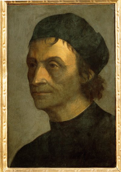 Portræt af en præst fra det pavelige hof (maleri på lærred) af Sebastiano del (c.1485-1547) Piombo