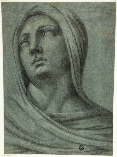 Hoved og skuldre af sløret kvinde af Sebastiano del Piombo