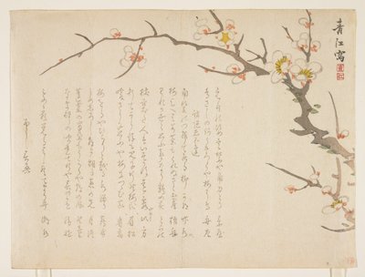 Blomstrende blomme, januar 1837 (træbloktryk i farver) af Seik Hashimoto