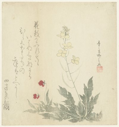 Blomstrende Planter af Seiseikyo Ryûshi