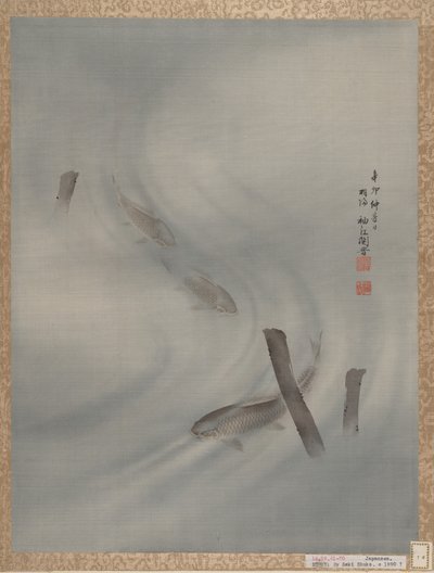 Fiskesvømning, sommer, 1891. af Seki Shuko