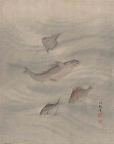 Fisk, ca. 1890-92. af Seki Shuko