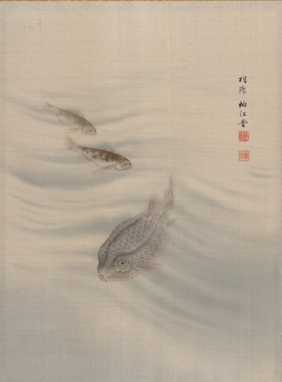 Fisk, ca. 1890-92. af Seki Shuko