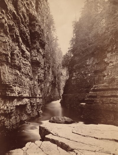 Ausable Chasm - Op ad floden fra Table Rock af Seneca Ray Stoddard
