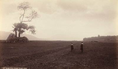 Syd for Ames, North Elba, ca. 1888 (foto) af Seneca Ray Stoddard
