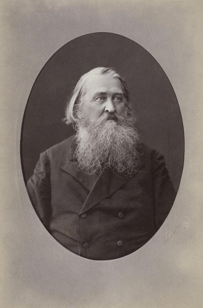Portræt af digteren Alexei Nikolaevich Pleshcheev 1825-1893, 1870 af Sergei Lvovich Levitsky