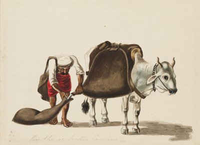 Vandbærer, c1810 af Sewak Ram