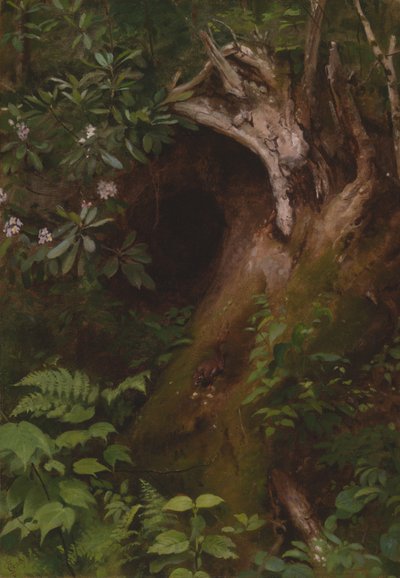 Egernet, 1860